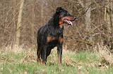 BEAUCERON 1001